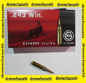 1 boite de 20 cartouches Geco Express (pointe plastique) 76 grains