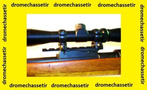 Montage type weaver pour Mauser argentin 1909