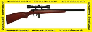 Pack carabine 22Lr armscor silencieuse avec lunette 3-9x40
