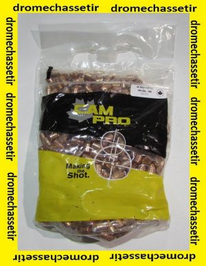 sachet 500 Ogives CAM PRO
