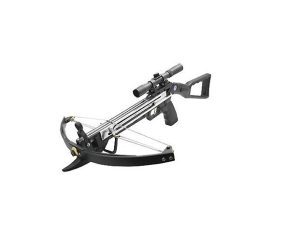 arbal&egrave;te 90 Lbs avec lunette 4x20