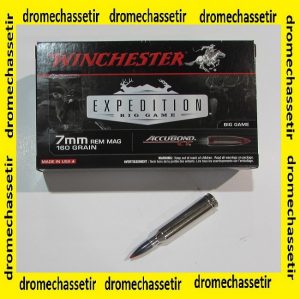 1 boite de 20 cartouches 7mm remington Magnum
