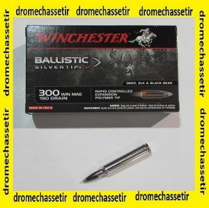 1 boite de 20 cartouches de calibre 300 Winchester Magnum