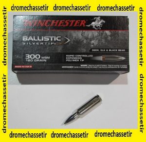 1 boite de 20 cartouches calibre 300 WSM