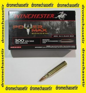 1 boite de 20 cartouches de calibre 300 Winchester Magnum