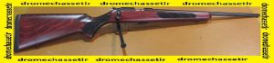 Carabine 22lr