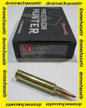 1 boite de 20 cartouches de calibre 300 win mag