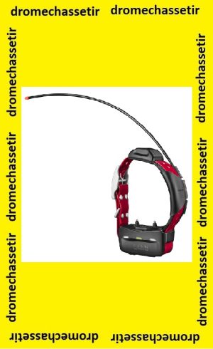 Collier de reperage et de dressage GPS GARMIN TT15