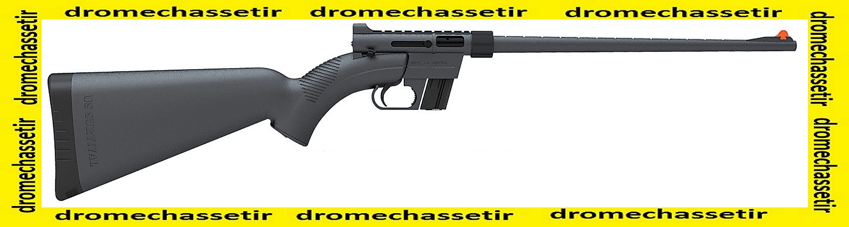 Carabine Henry Semi auto cal 22Lr