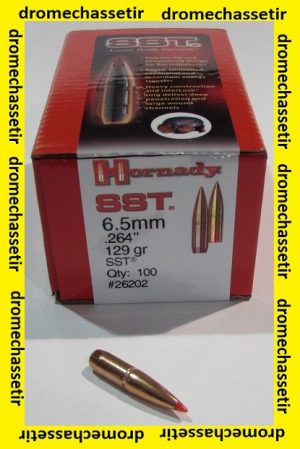 boite 100 ogives Hornady