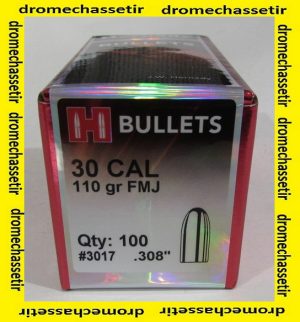 Boite de 100 ogives Hornady