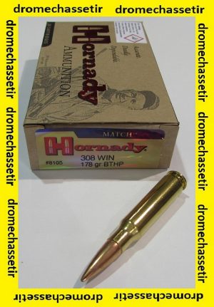 1 boite de 20 cartouches Hornady