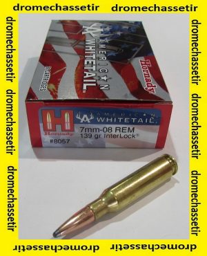 1 Boite de 20 Cartouches Hornady