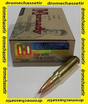 1 boite de 20 cartouches Hornady