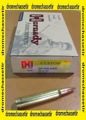 1 boite de 20 cartouches de calibre 300 Winchester Magnum