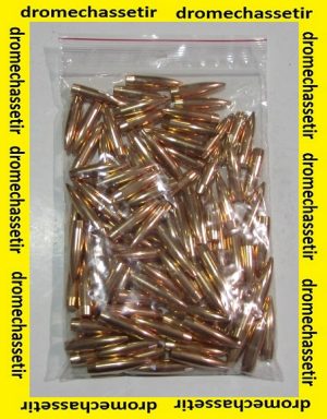 lot 100 ogives Lapua