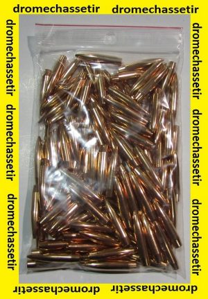 Sachet de 100 Ogives Lapua