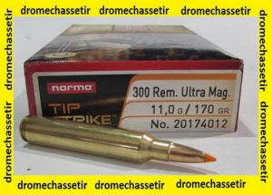 boite 20 Cartouches calibre 300 RUM