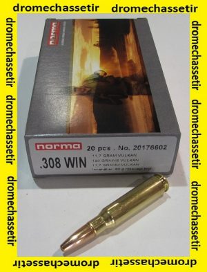 1 boite de 20 cartouches de calibre 308 Winchester