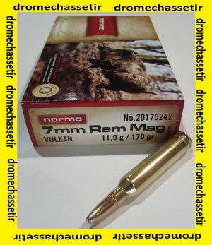 1 boite de 20 cartouche de calibre 7mm Remington Magnum