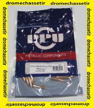 sachet de 100 ogives Partizan