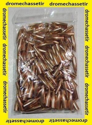 lot 100 ogives PARTIZAN cal 284 (7mm) 120 grains Hollow Point (HP) Partizan