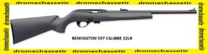 carabine semi autamatique remington 597