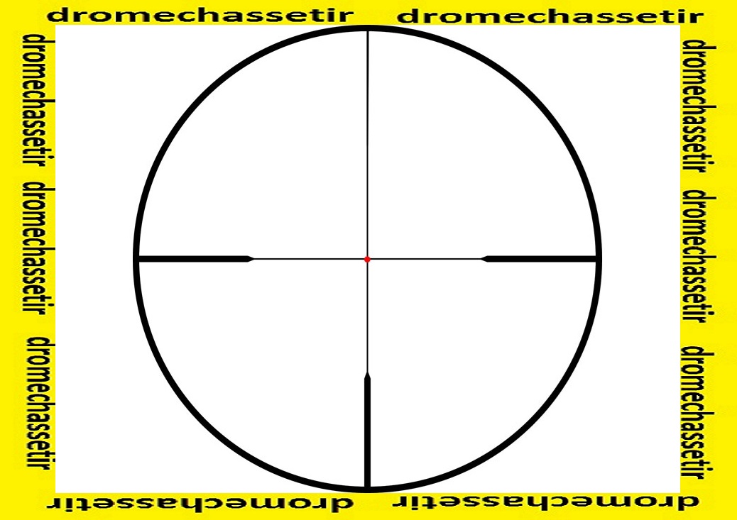 grossissement 1-5X24