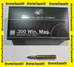 1 boite de 20 cartouches calibre 300 Winchester Magnum