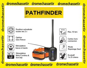 Pack dressage et repérage avec récepteur et collier Dogtra pathfinder