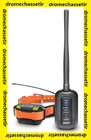 Pack dressage et repérage avec récepteur et collier Dogtra pathfinder mini
