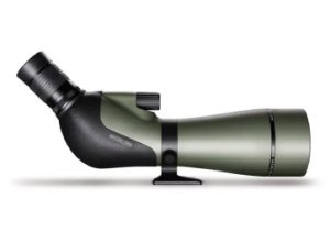 Longues vues