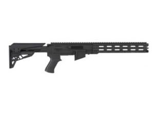 Ruger 10/22