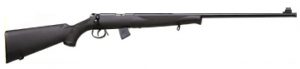 Carabine 22LR