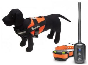 Equipement du chien