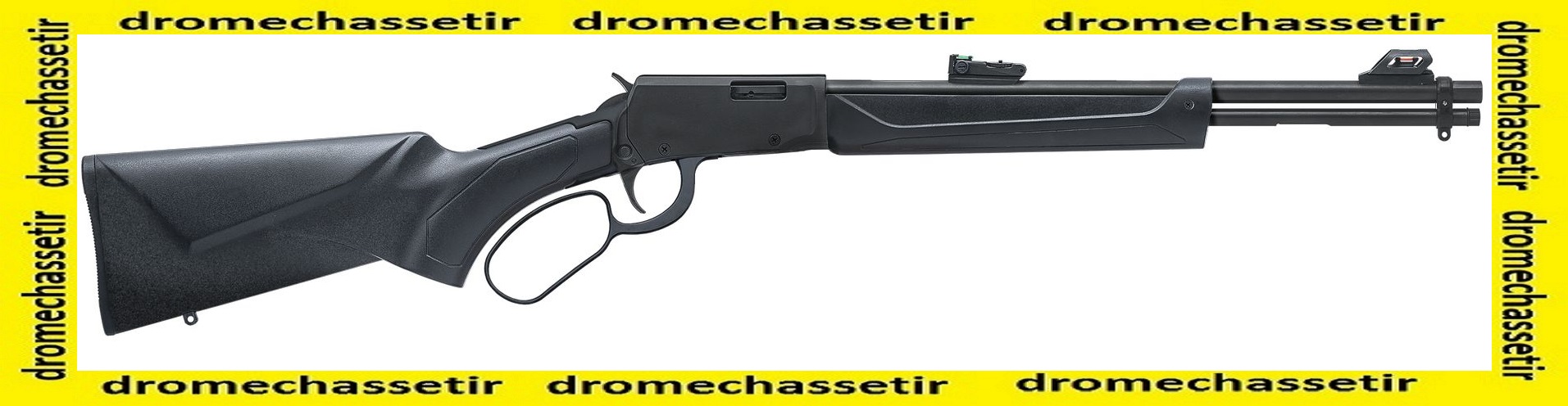 carabine a levier sous garde Rossi Rio Bravo Composite cal 22lr