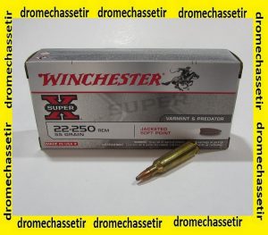 boite 20 cartouches Winchester 22-250 Remington 55 grains jacketed soft point