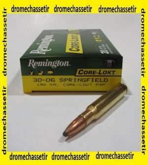 boite 20 cartouches Remington cal 30-06 springfield 180 grains core lokt PSP