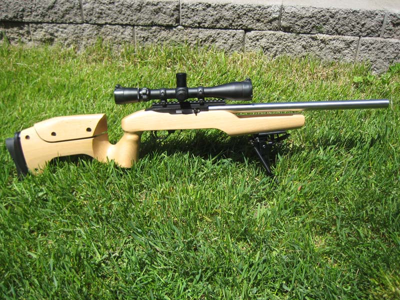 rail picatinny extra long ruger 10/22