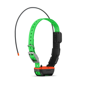 collier de repérage et dressage GPS Garmin TT25F