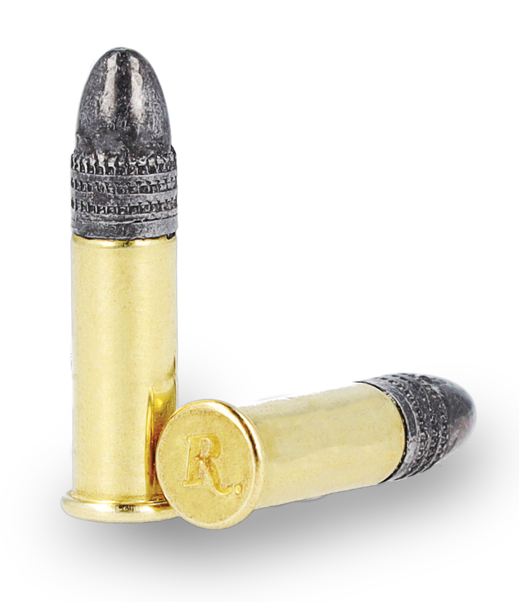 boite 550 cartouches Remington Standard V 22 LR 38 Grain Lead Round Nose