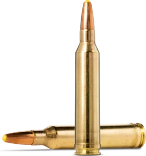 boite 20 cartouches 30-06 Sako Hammerhead 180 grains
