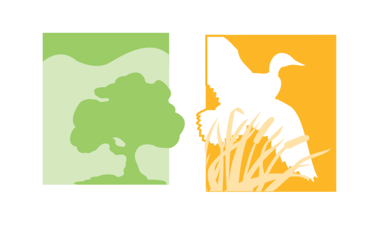 Logo WINCHESTER